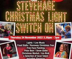 Christmas Light Switch on 2025 Stevenage Town Centre